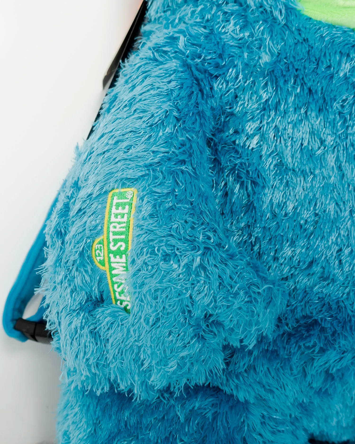 Cookie Monster Money Bear