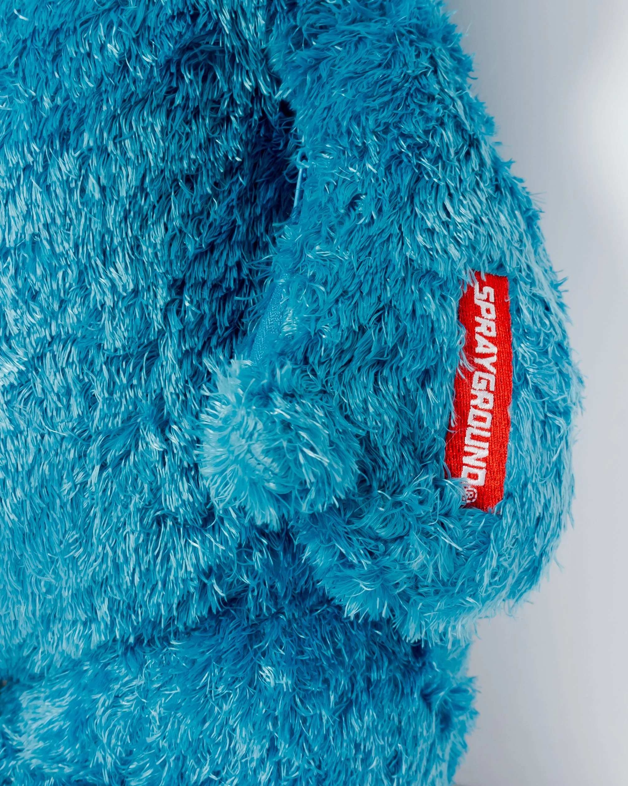 Cookie Monster Money Bear