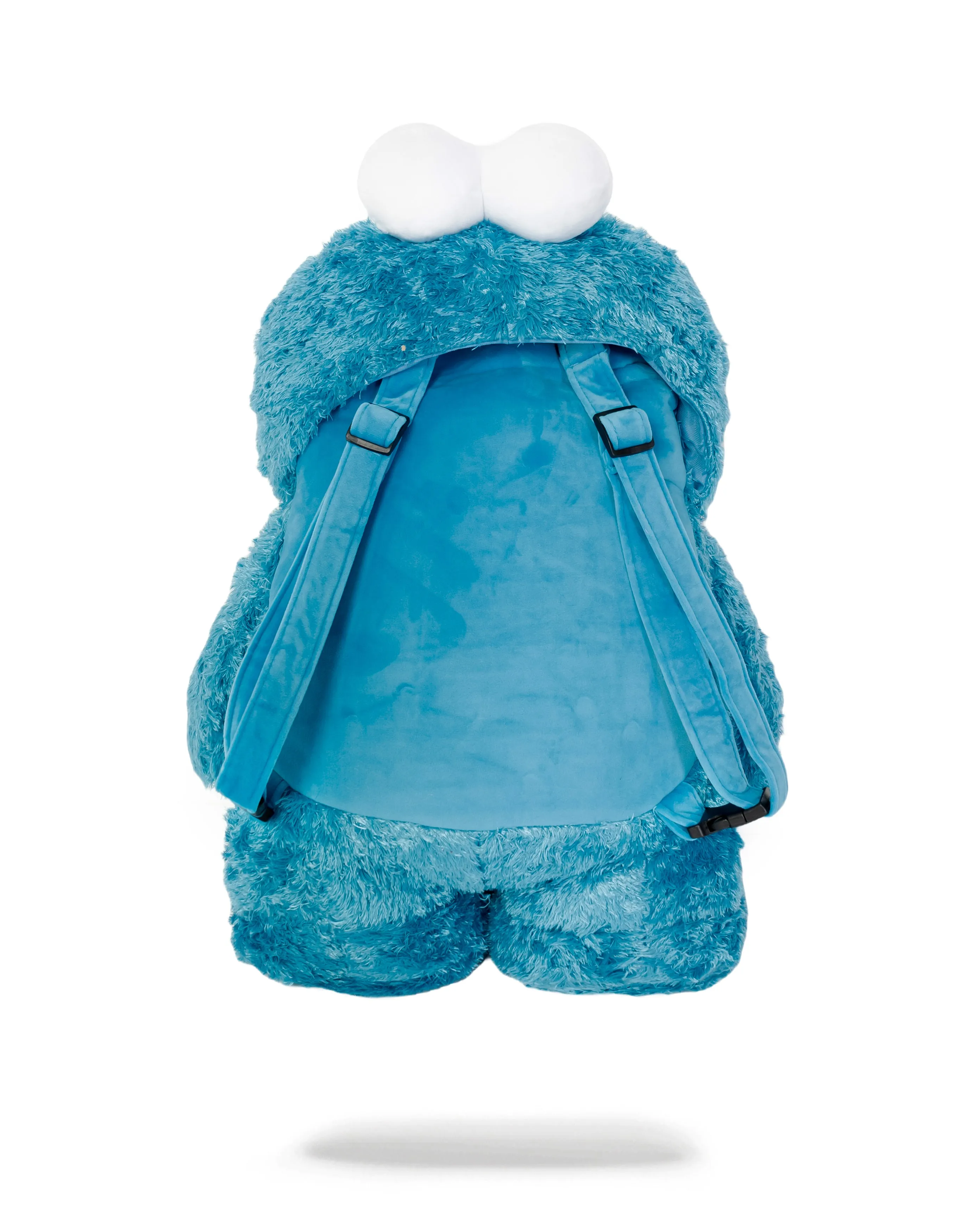 Cookie Monster Money Bear